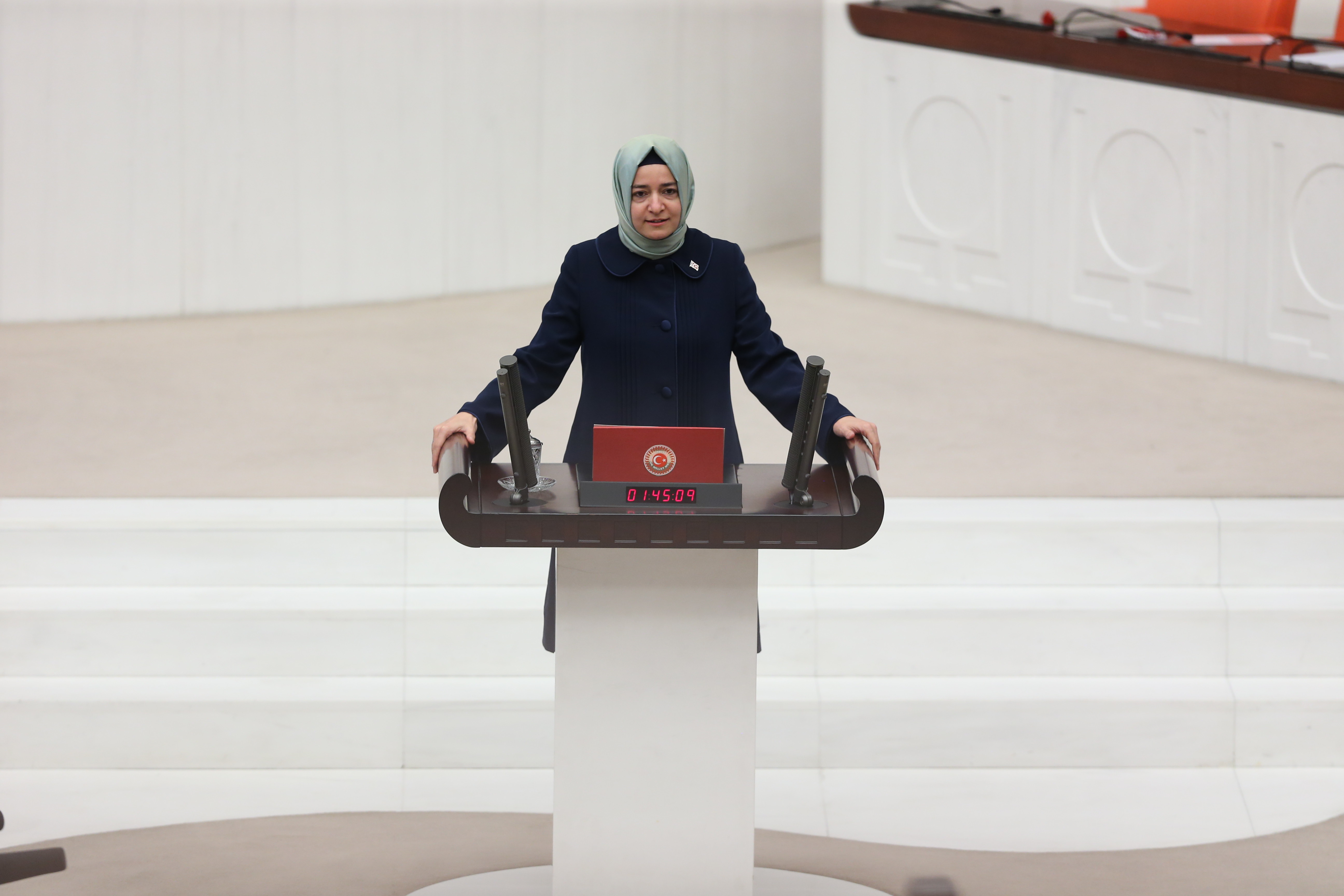 Bakan Kaya, TBMM Genel Kurulu'nda Milletvekilliği yemini etti.