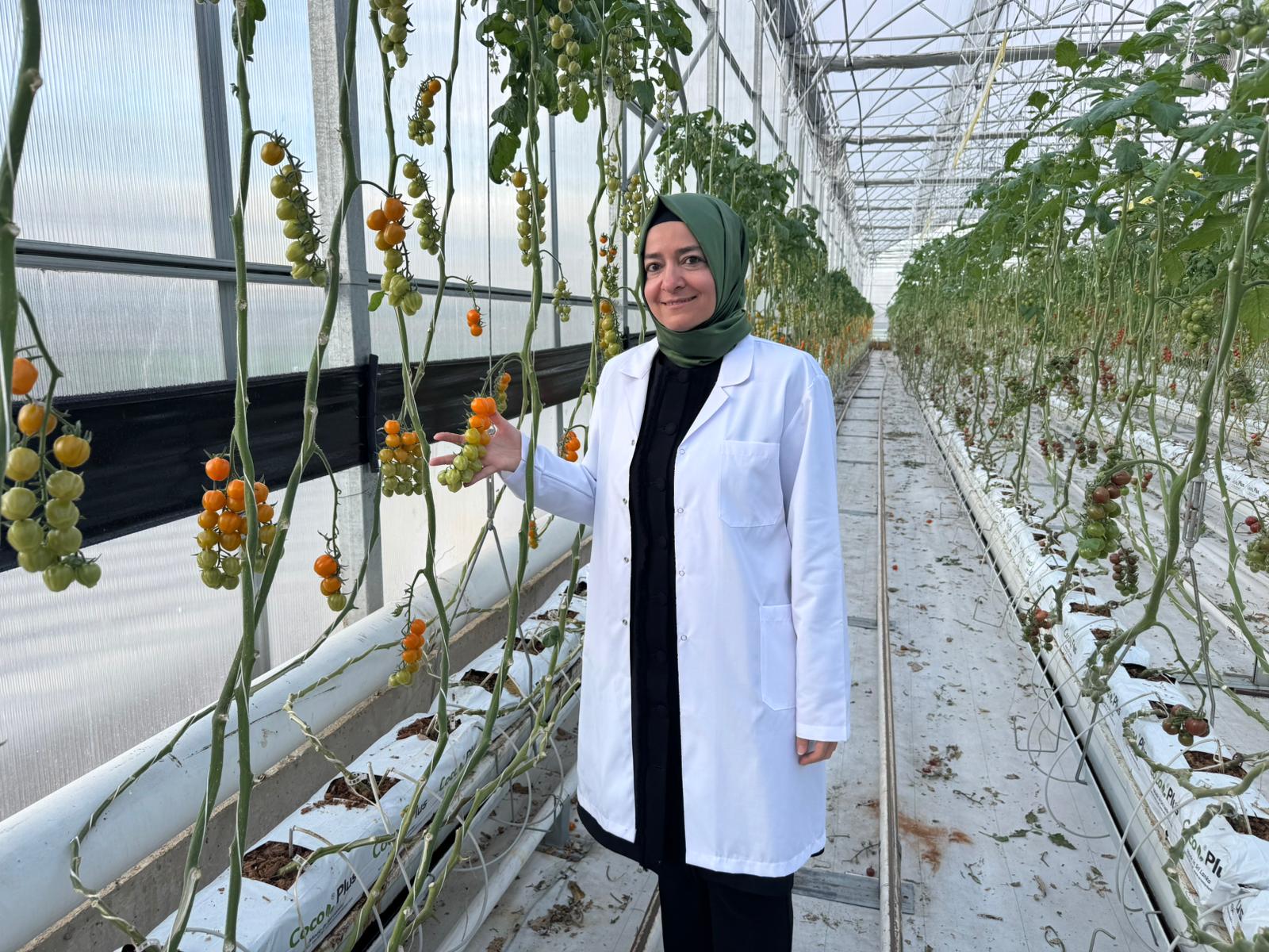 AK Parti Genel Başkan Yardımcısı Sayan Kaya, Türkiye Şeker Fabrikalarının Organik Tarım Merkezini Ziyaret Etti