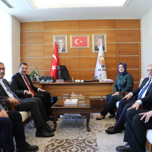 AK Parti Genel Başkan Yardımcısı Sayan: İnandığımız Yolda Birlikte Yürüyoruz