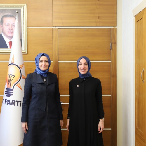 AK Parti Genel Başkan Yardımcısı Sayan Ziyaretleri Kabul Etti